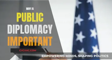 Public Diplomacy: A Nation's Soft Power and Influence