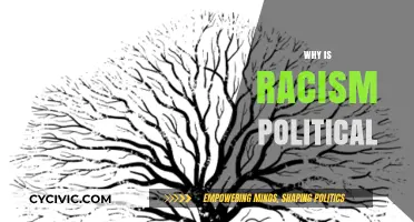 Racism's Political Roots: Power, Identity, and Systemic Inequality Explained