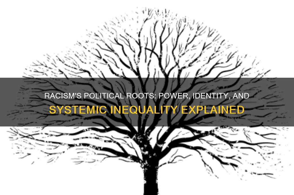 why is racism political