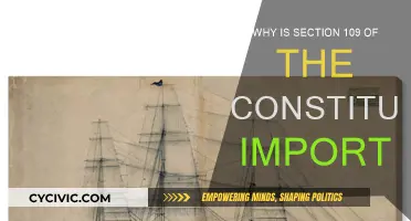 Understanding the Constitution: Section 109's Importance