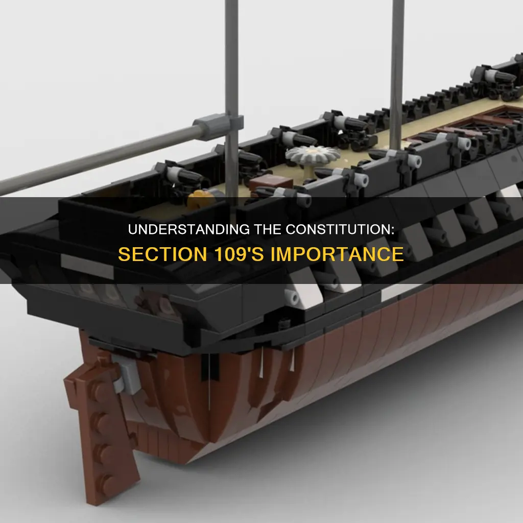 why is section 109 of the constitution important