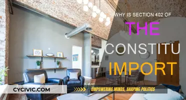 Understanding the Significance of Section 402 in the Constitution