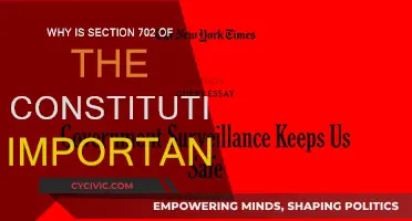 The Importance of Section 702: Surveillance and Privacy
