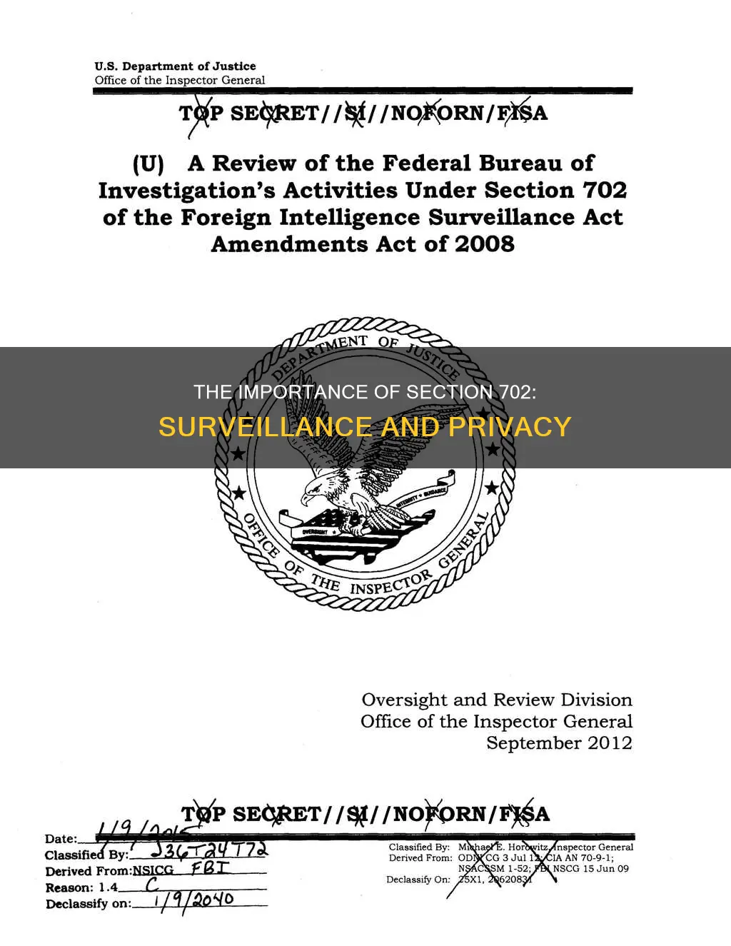 why is section 702 of the constitution important