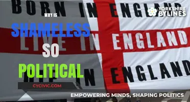 Shameless: Unveiling the Show's Bold Political Commentary and Social Critique