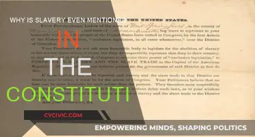 The Constitution's Slavery Mention: Why?