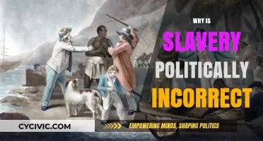 Slavery's Legacy: Navigating Political Correctness in Historical Contexts