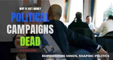 Soft Money's Demise: Political Campaigns' Funding Evolution