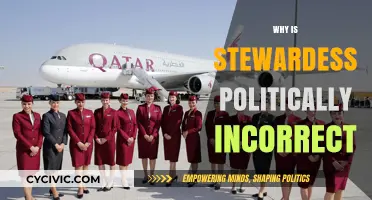 Flight Attendant vs. Stewardess: The Shift in Gender-Neutral Language