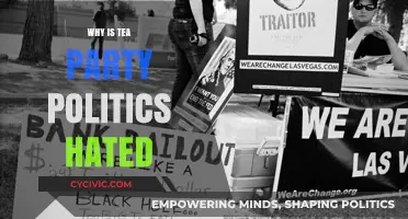 Tea Party Politics: Unraveling the Roots of Public Backlash