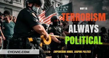 Terrorism's Political Roots: Unraveling the Intrinsic Link to Power Struggles
