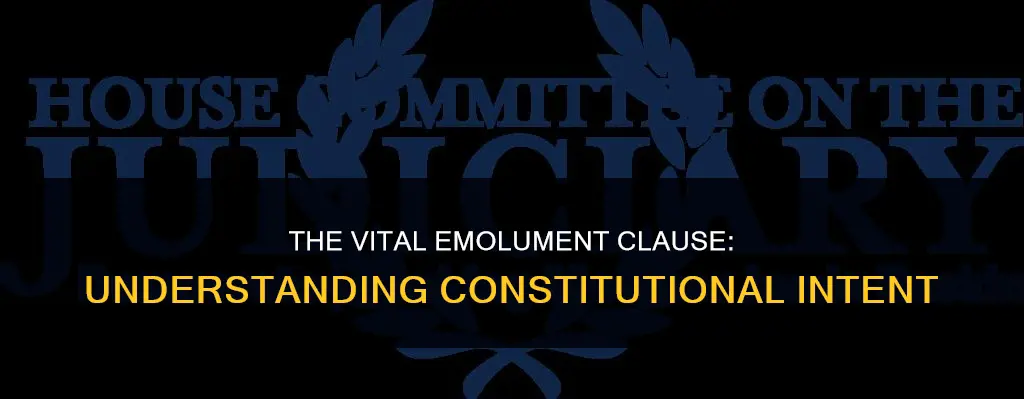 why is th eword emolument important in the constitution