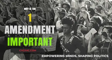 First Amendment: Cornerstone of American Democracy