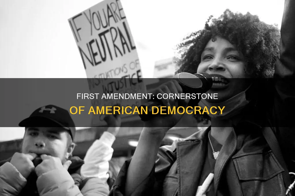 why is the 1 amendment important