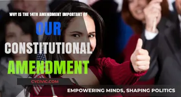 The Fourteenth Amendment: Protecting Our Constitutional Rights
