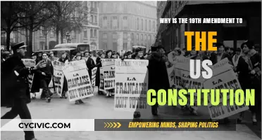 The 19th Amendment: Women's Right to Vote