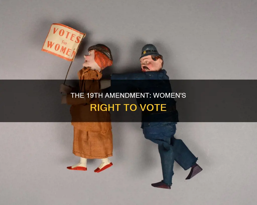why is the 19th amendment to the us constitution