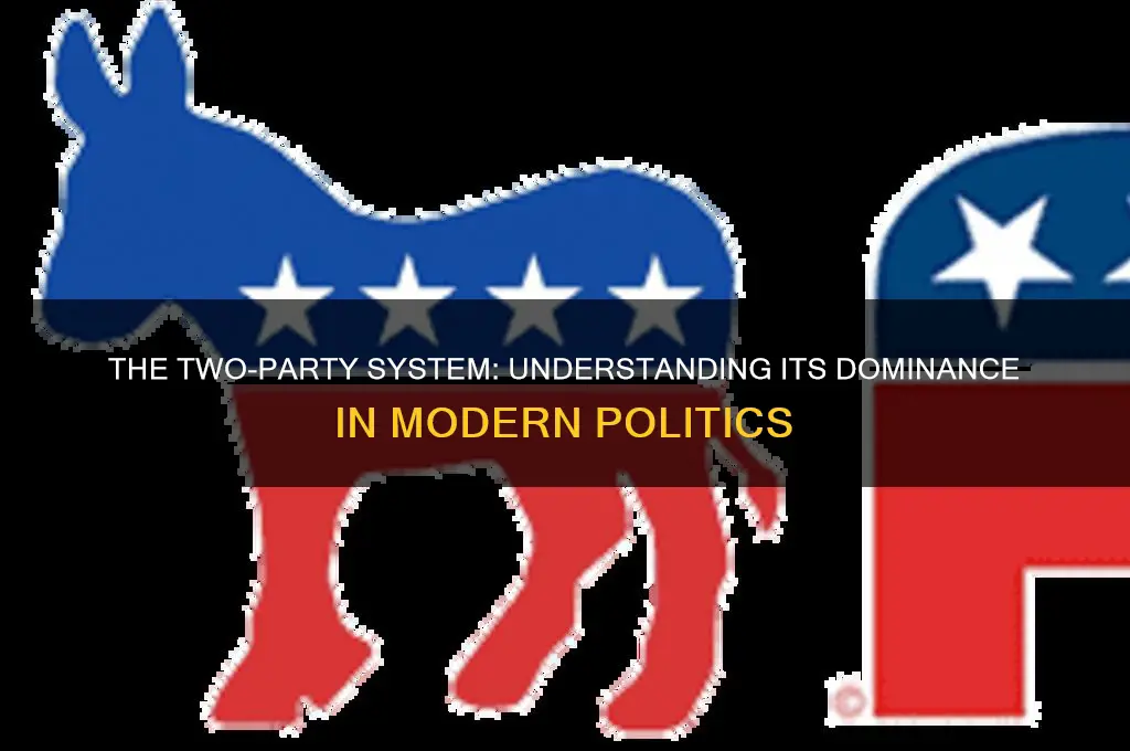why is the 2 party system used in politics