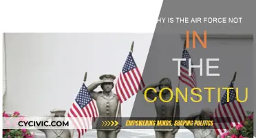 The Air Force: A Constitutional Conundrum