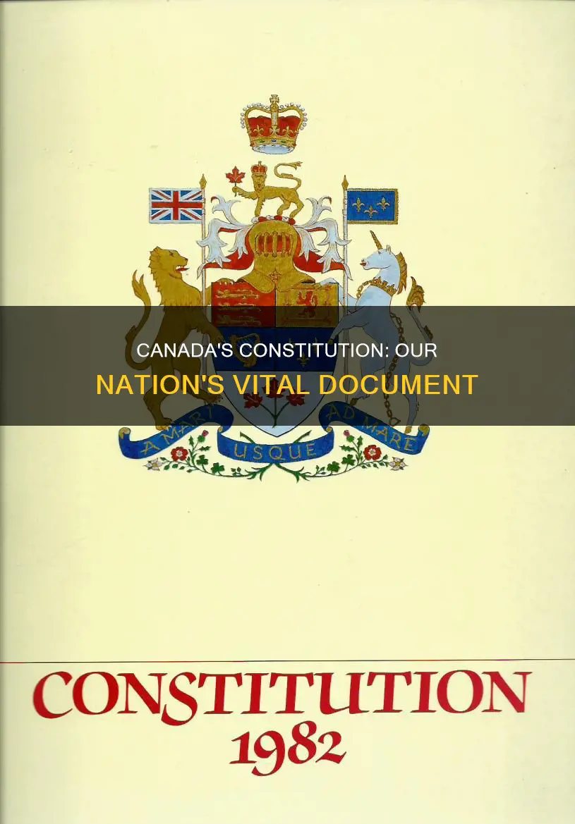 why is the canadian constitution an important document