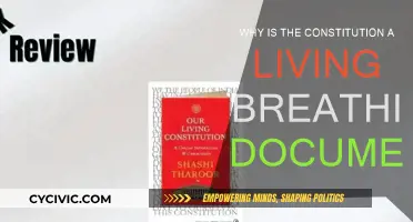 The Constitution: A Living, Breathing Document for a Reason