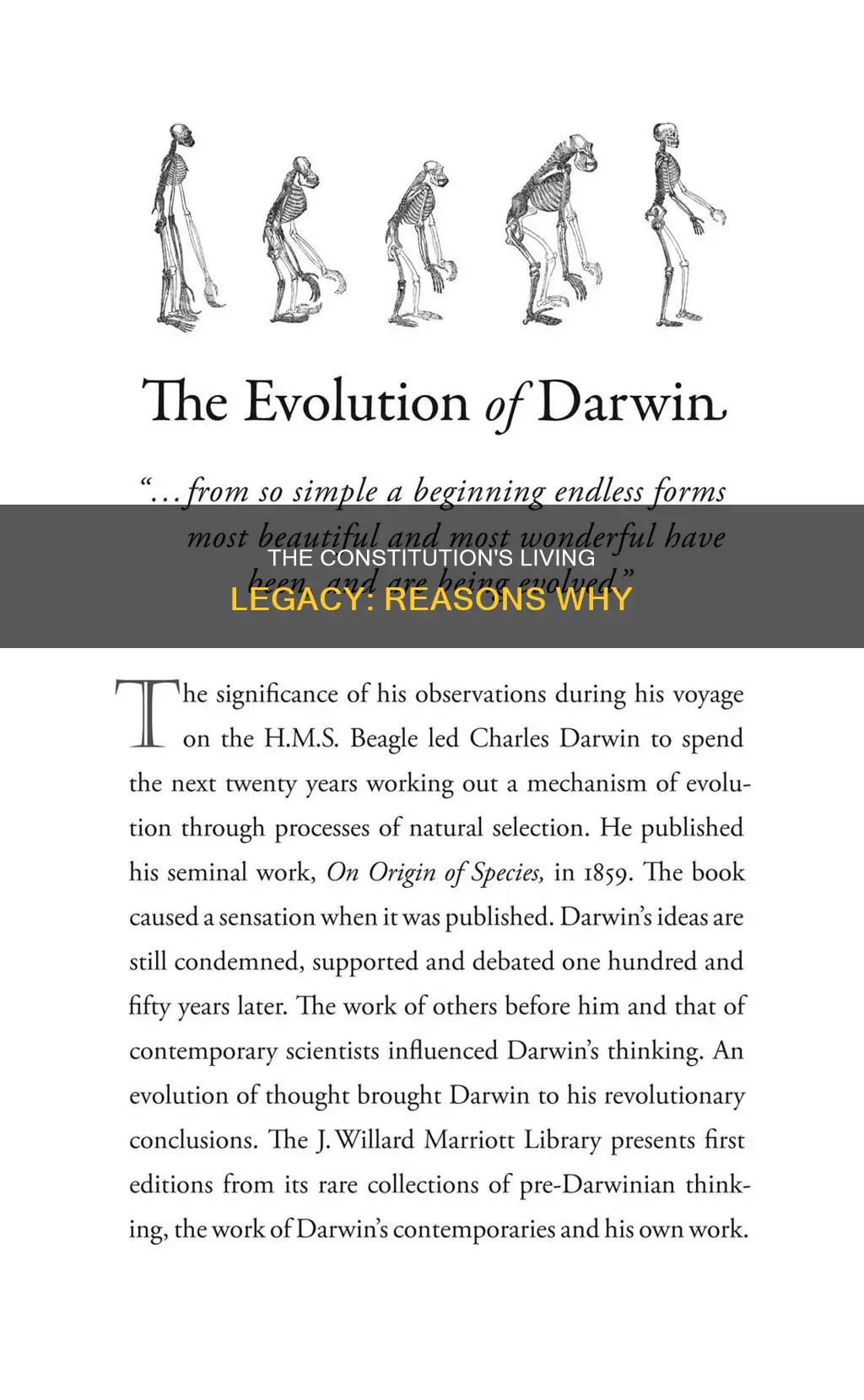 why is the constitution a living document reasons