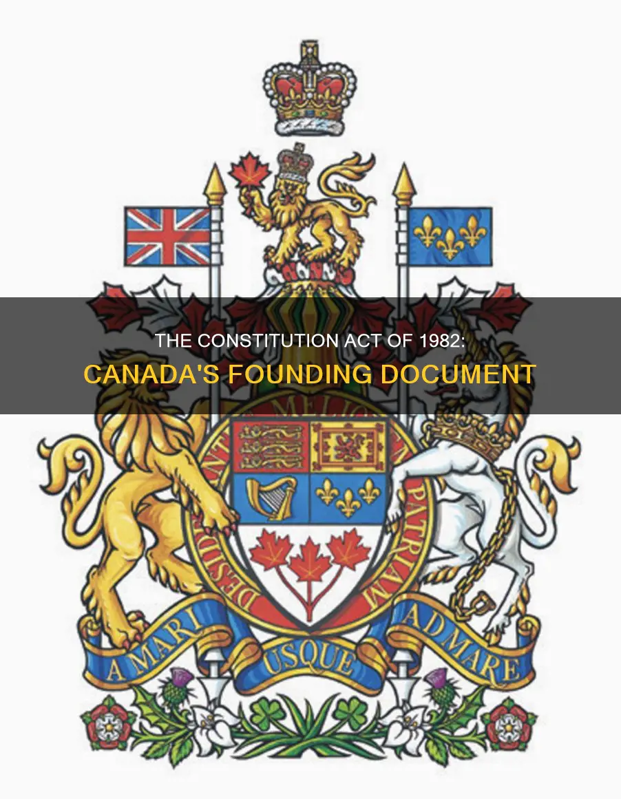 why is the constitution act of 1982 important