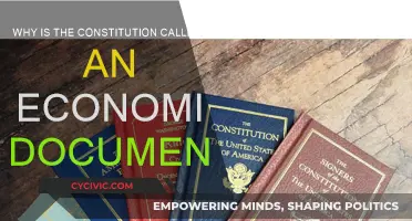 The Constitution: An Economic Blueprint for the Nation