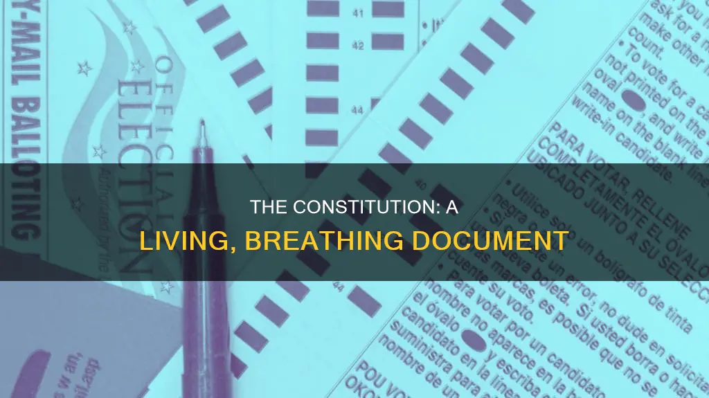 why is the constitution considered a flexible document