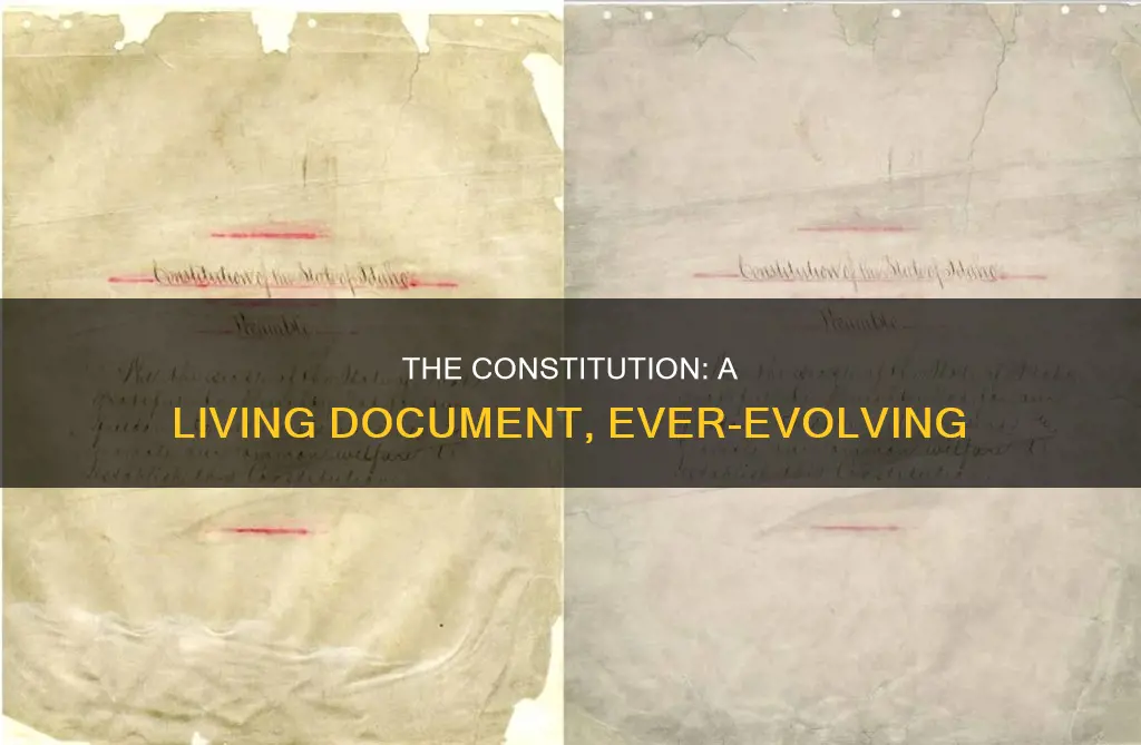 why is the constitution considered a living document