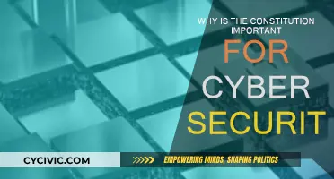 Constitution: Cybersecurity's Foundation Stone