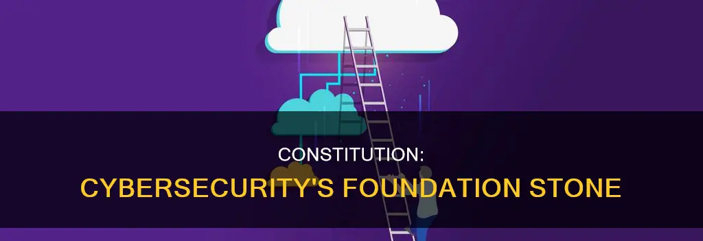 why is the constitution important for cyber security
