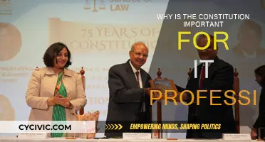 IT Pros: Know Your Rights and Limits