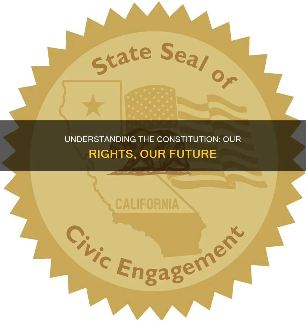 why is the constitution important for young people