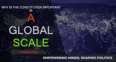 Constitutions: Global Framework for Freedom and Rights