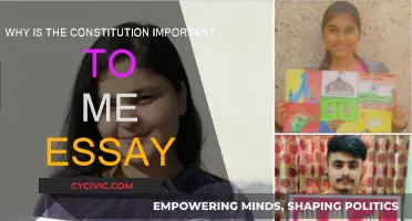 The Constitution: My Personal Freedom and Rights