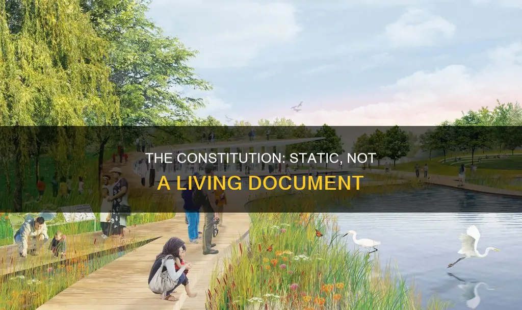 why is the constitution not a living document