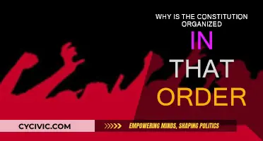 The Constitution's Order: Why This Sequence?