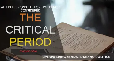 The Constitution's Critical Period: Why Was It So?