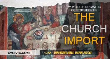 Understanding the Church's Dogmatic Constitution