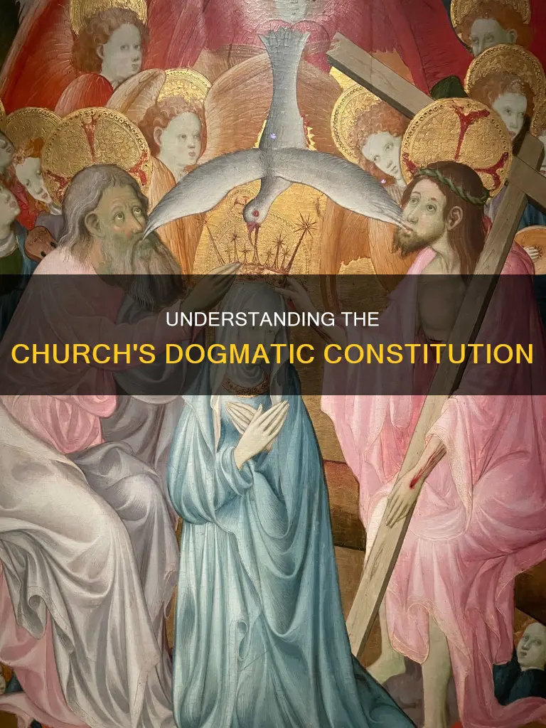 why is the dogmatic constitution on the church important