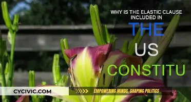 The Elastic Clause: Understanding the US Constitution's Flexibility