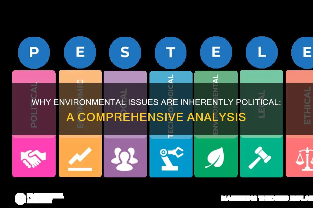 why is the environment political