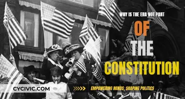 The Era's Absence: Why the Omission from the Constitution?