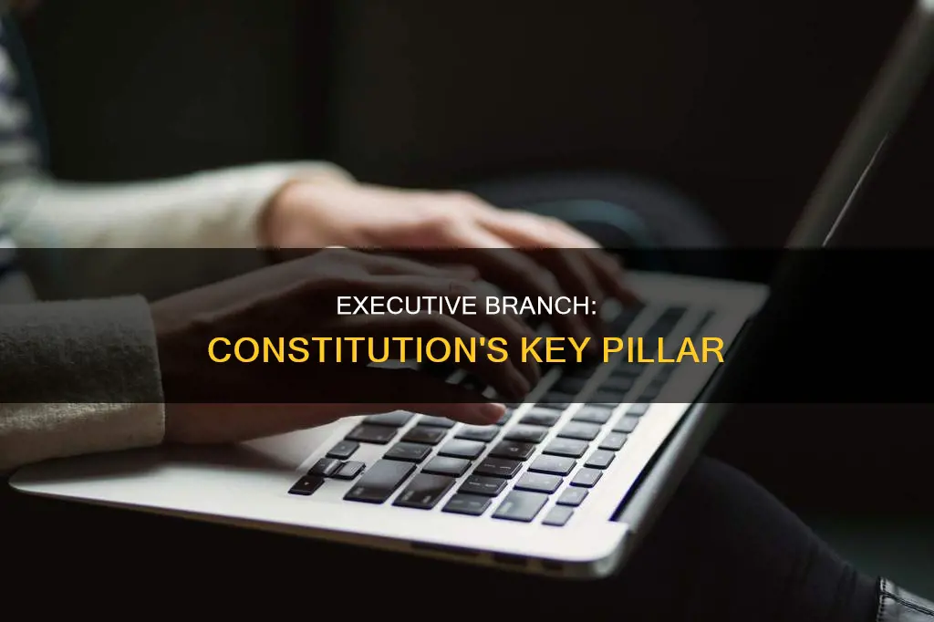 why is the executive branch important to the constitution