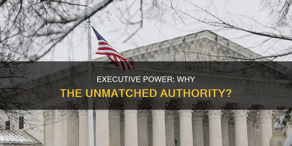 why is the executive branch the most powerful branch