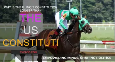 Illinois vs US: Constitution Length Explored