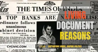 The Dynamic Indian Constitution: Reasons for Its Evolution