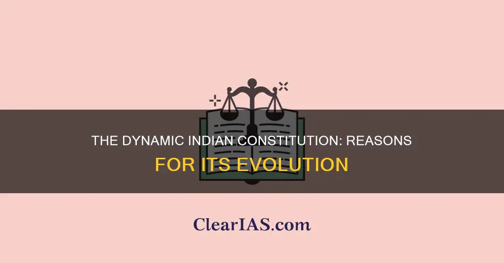 why is the indian constitution a living document reasons