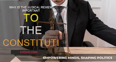 Judicial Review: The Constitution's Guardian